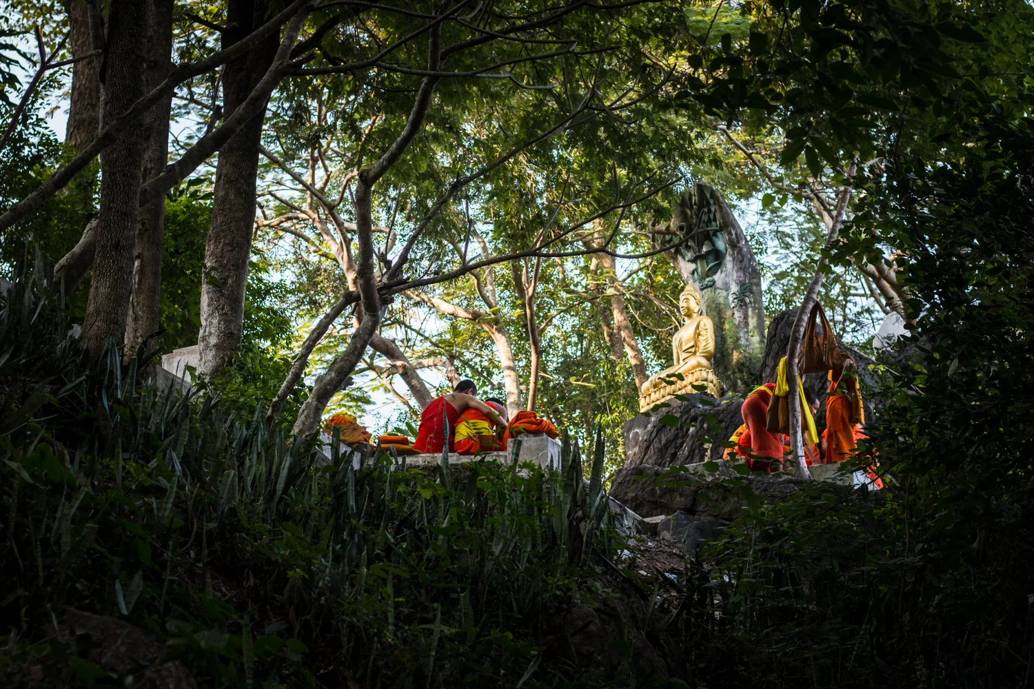 Morning alms in Luang Prabang: the respectful traveller's guide